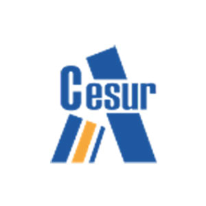 Cesur